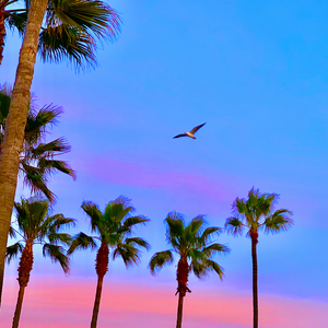 谢文无人休艺术
